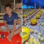 Peternak Ayam Broiler Asal Lampung Tengah, Keluhkan Pengurangan Ternak dari Mitra Usaha.