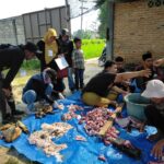 Dokter Hewan Tinjau Penyembelihan Hewan Qurban di RT.24 Tejosari.