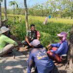 Babinsa Koramil 12 Bendosari aktif Komsos sambangi petani di Desa Mertan.