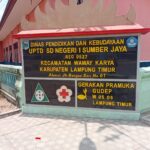 Ketua LSM Mabesbara soroti carut marut realisasi dana BOS di SDN 1 Sumber Jaya.