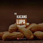 Dinasti politik seperti kacang lupa kulitnya.