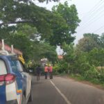 Pohon Mahoni Tumbang Menutupi Jalan Raya Stadion Tejosari.