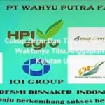 Klarifikasi pemberitaan oleh staf PT. Wahyu Putra Fajar.
