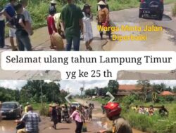 Untuk Kado Ultah Ke-25 Tahun Lampung Timur Viral Jalan Rusak.