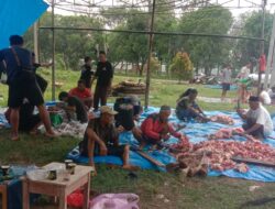 Mushola AL-Iman RT 24 sembelih dua ekor sapi dan satu kambing kurban.