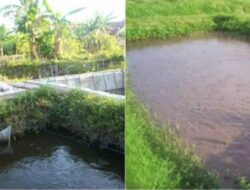 Pengadaan kolam darat desa Kemang Bandung disinyalir Fiktif.