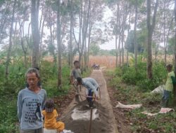 Swadaya warga Talang Meliku Desa Karang Agung perbaiki jalan.