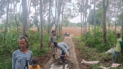 Swadaya warga Talang Meliku Desa Karang Agung perbaiki jalan.