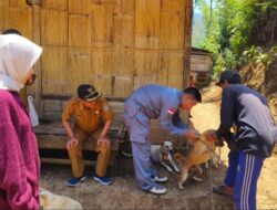 Peringati hari Rabies, Dinas Perikanan bakal menggelar vaksin binatang.