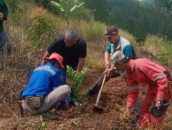 Lestarikan lingkungan, Dinas Kehutanan bersama Pemdes Kadipaten giatkan tanam pohon.