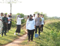Hilangkan Konflik Gajah Dengan Masyarakat Bupati Lampung Timur Tinjau Tanggul Penyangga