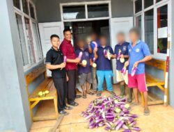 Manfaatkan Lahan Sempit Menjadi Produktif, Warga Binaan Lapas Way Kanan Berhasil Panen Raya Terong 