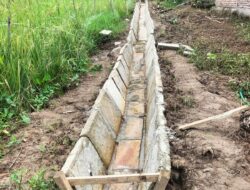 Jasa Pemberkasan Kegiatan P3 TGAI di Pesisir Barat Diduga Pungut Pendamping Hingga Puluhan Juta Rupiah