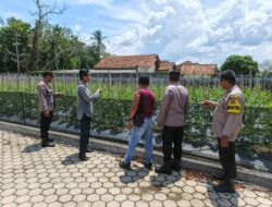 Dukung Ketahanan Pangan Nasional Kapolsek Sukadana Bersama Anggota Tinjau Kebun Melon.