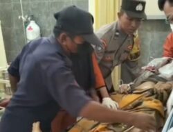 Hari Apes Tida Ada di Kalender Kepala Desa Braja Asri Dikabarkan Mati Diinjak Gajah