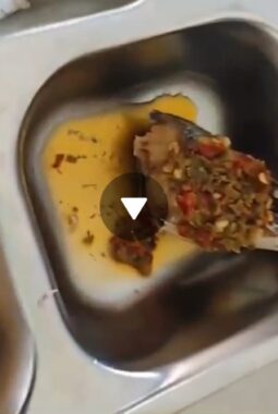 Video MBG Berulat di Mandailing Natal Viral, Publik Soroti Pengawasan Dapur SPPG Panggorengan