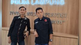 Oplus_16908288