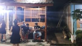 Oplus_16908288