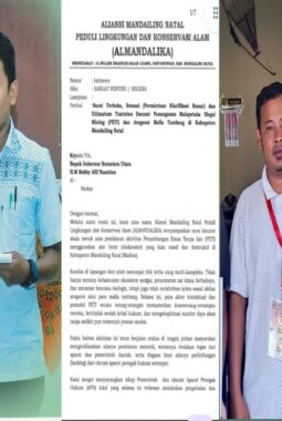 ALMANDALIKA Tuntut Gubsu, Kapolda dan Pangdam I/BB Sikat Gurita PETI Madina dan Oknum Aparat Pembeking