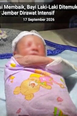 Bayi Laki-Laki Ditemukan di Semak Belakang SMPN 2 Arjasa Jember, Kondisi Membaik